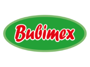 BubimexLogo